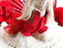 Red Festival Flared Bottom Dress